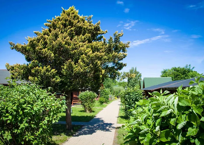 Resort Proszeczek Przy Morzu 30 M